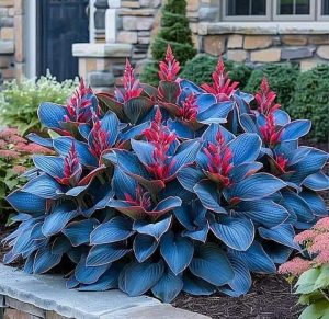 Хоста Грин Фог купить по цене от 669р. в интернет-магазине «Посадика» с доставкой почтой в в Омске и по всей России – [изображение №1].