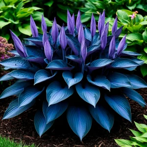 Хоста Сикрет Гров купить по цене от 570р. в интернет-магазине «Посадика» с доставкой почтой в в Омске и по всей России – [изображение №1].