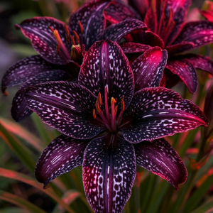 Лилейник Вояж купить по цене от 699р. в интернет-магазине «Посадика» с доставкой почтой в в Омске и по всей России – [изображение №1].